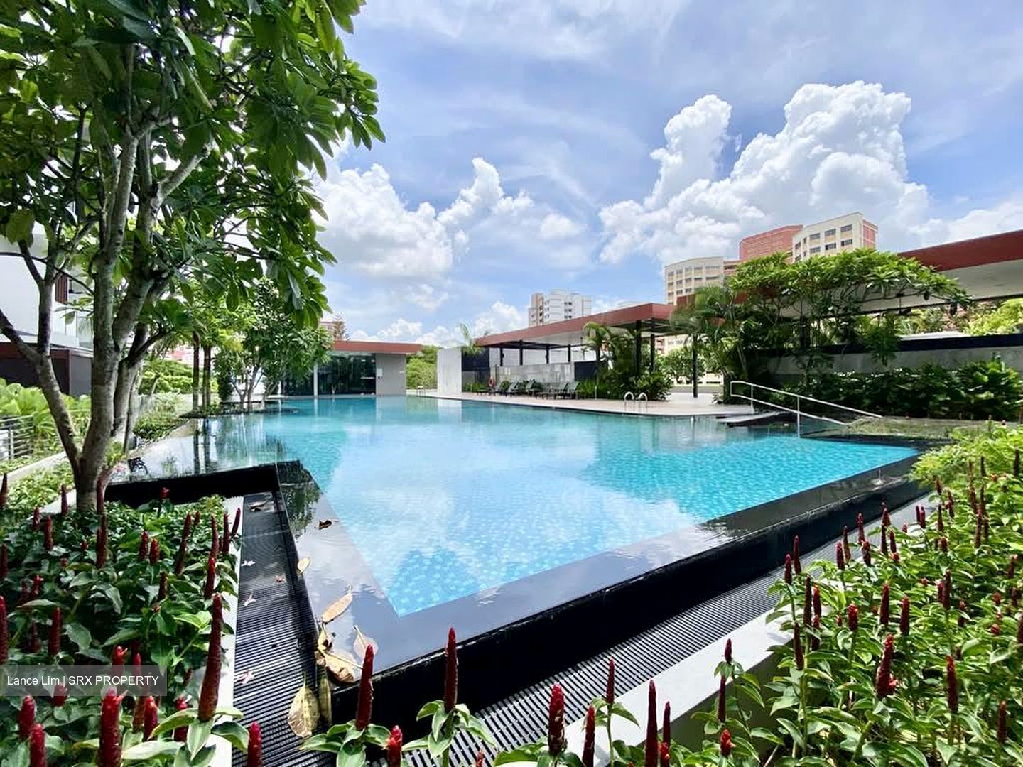 Midtown Residences (D19), Apartment #537861581